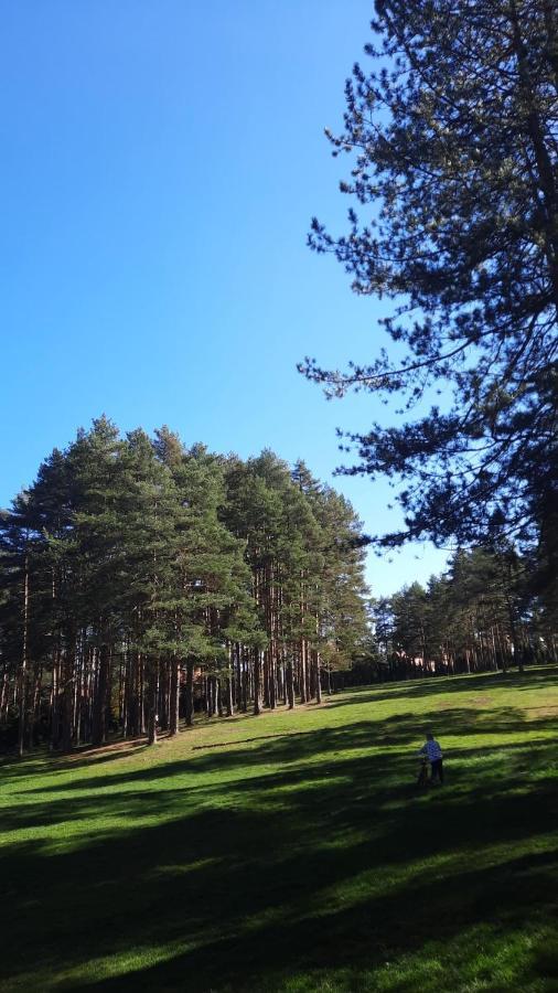 Apartmani Sloboda ซลาตีบอร์ ภายนอก รูปภาพ